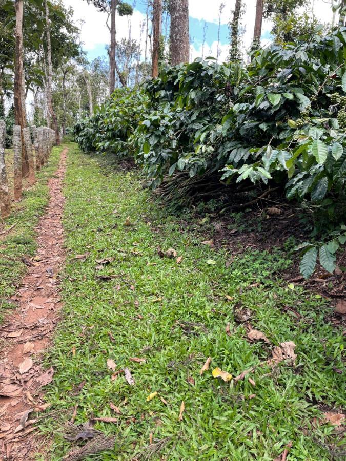 New Organic Home Stay Mudigere المظهر الخارجي الصورة