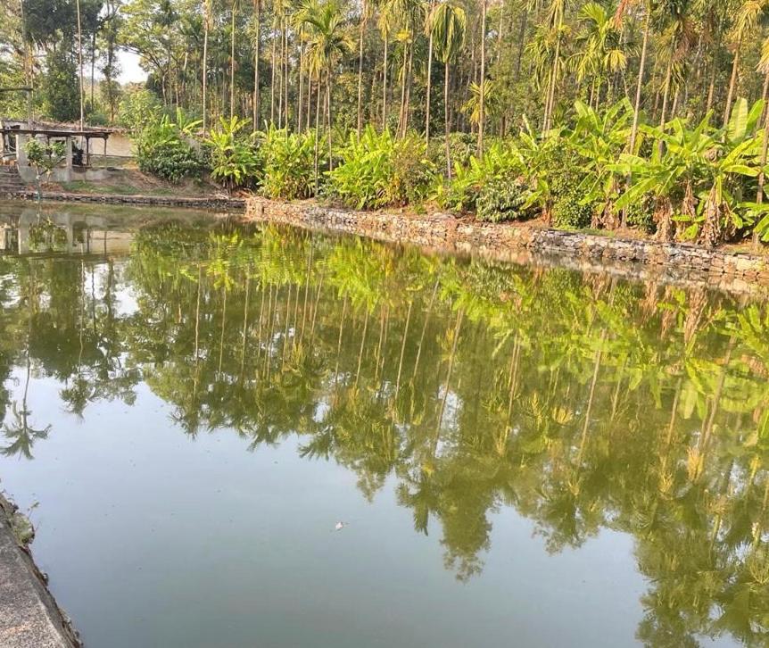 New Organic Home Stay Mudigere المظهر الخارجي الصورة