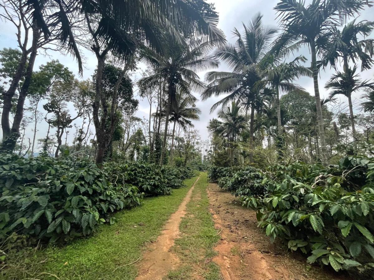New Organic Home Stay Mudigere المظهر الخارجي الصورة