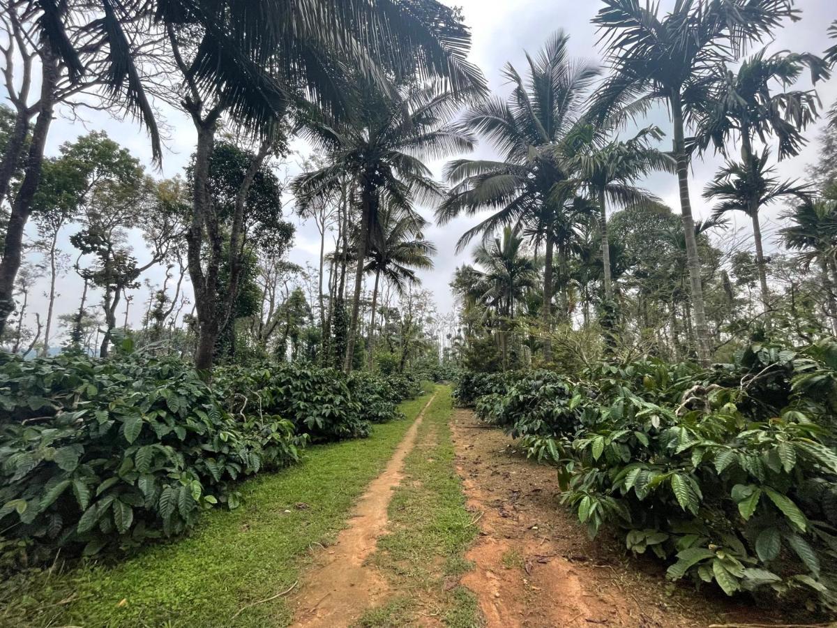 New Organic Home Stay Mudigere المظهر الخارجي الصورة